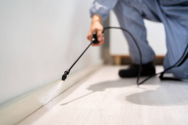 Licensed Fumigation Services service in West Alexandria, OH - Nex Pest Control