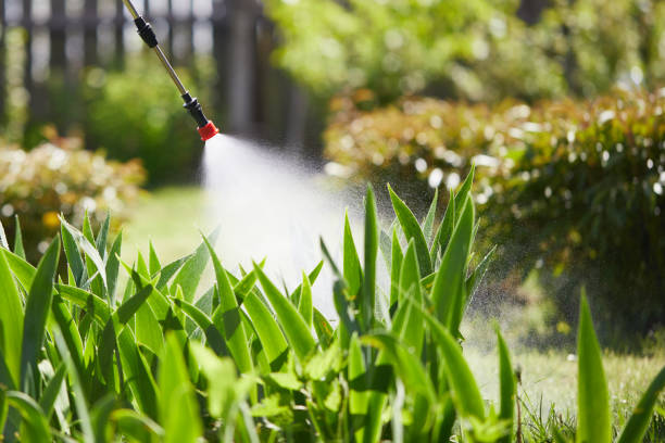 24/7 Emergency Fumigation Services experts in West Alexandria, OH