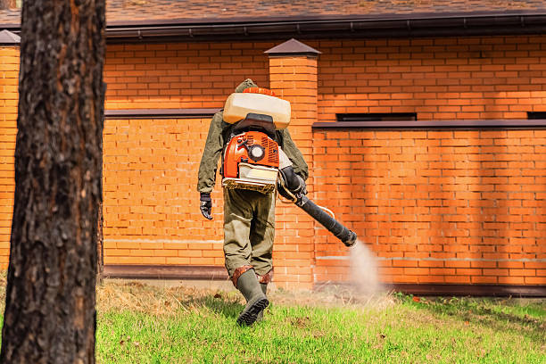 Trusted Emergency Pest Control service in West Alexandria, OH - Nex Pest Control